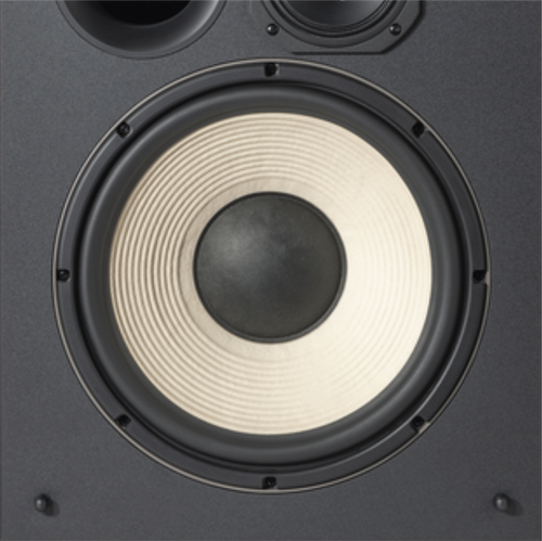 IS THIS LOUD ENOUGH